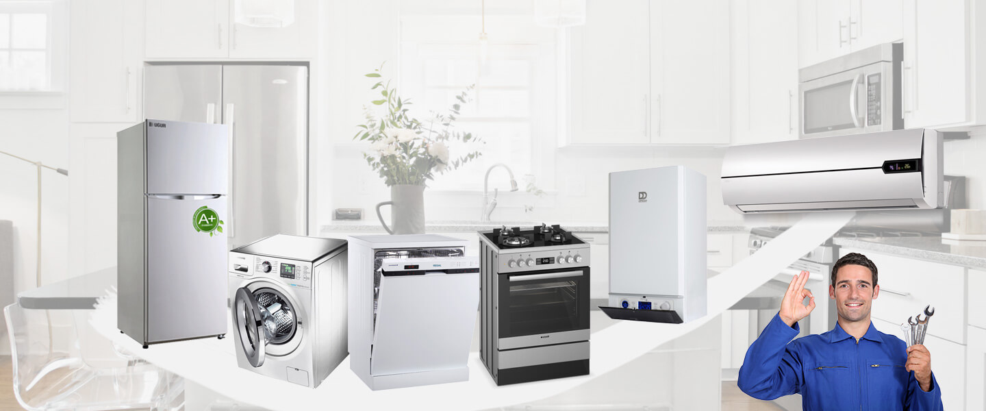Tuzluca Electrolux Servisi